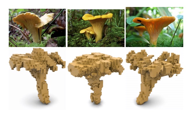 3D生成_可缩放训练技术生成3D形状_微软研究院2D转3D AI框架