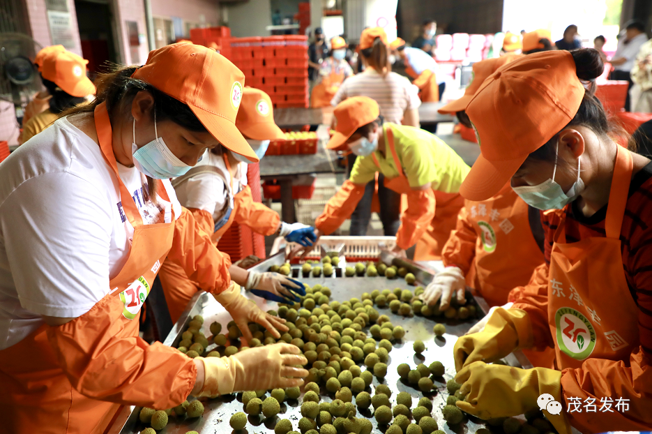 加拿大跨境电商_茂名荔枝跨境电商_广东荔枝跨境电商出口