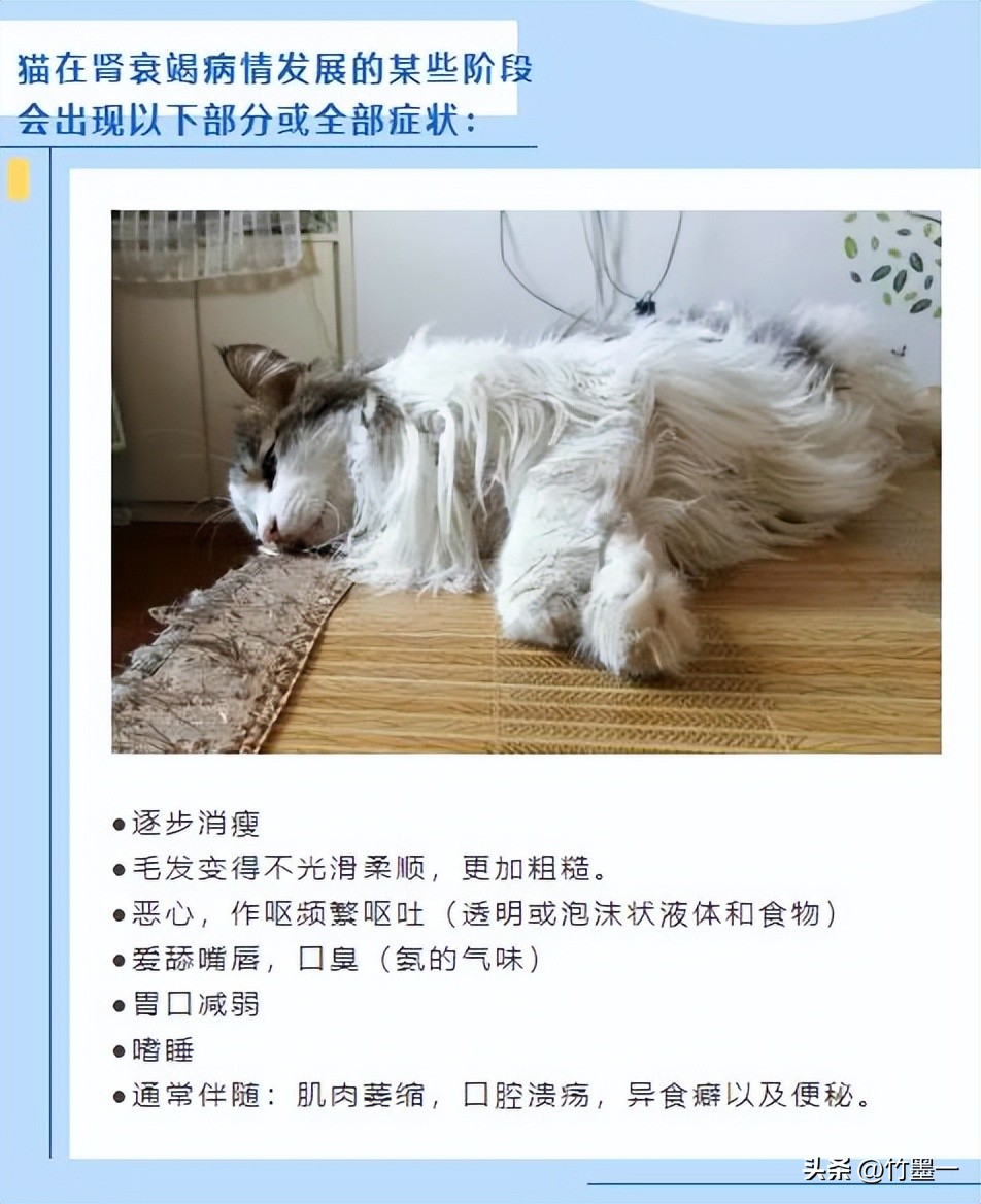 母婴用品毒奶粉风险_跨境电商假货高危领域_跨境母婴用品