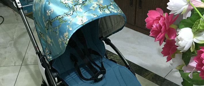 StokkeQuinnyBugaboo婴儿车对比_BugabooBee3梵高限量版_婴儿推车