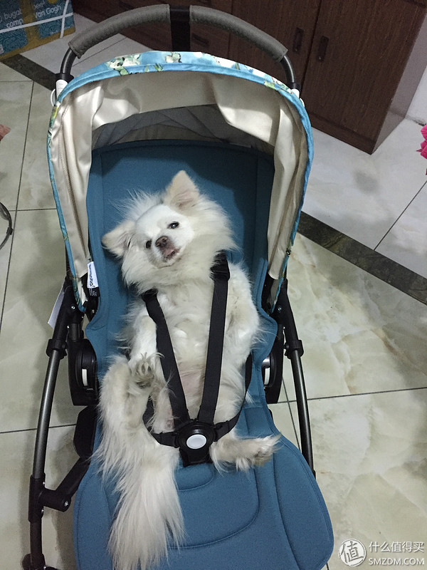 StokkeQuinnyBugaboo婴儿车对比_BugabooBee3梵高限量版_婴儿推车
