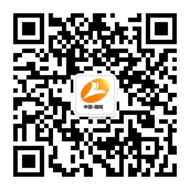 醴陵市陶瓷跨境电商产业带发展_醴陵市外资外贸电商工作情况_外贸电商