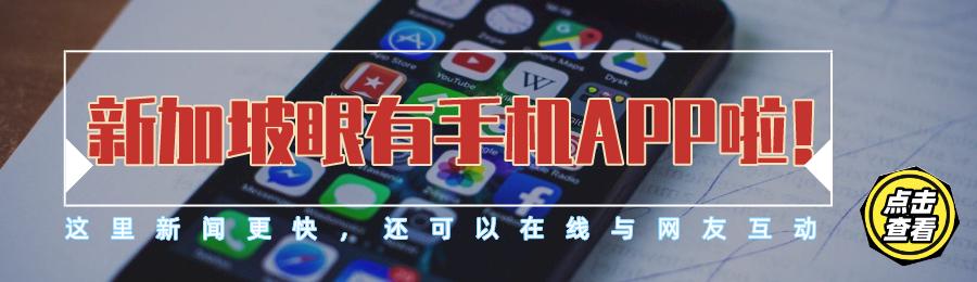 中国到新加坡海运拼柜_佛山到新加坡物流_海运物流