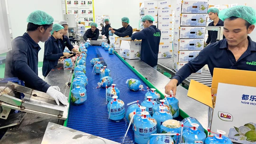 海运物流_中越中柬能源合作物流服务_中远海运物流东南亚市场布局