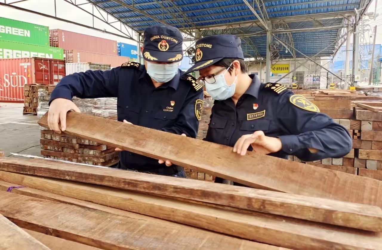 台湾集运报关清关_海运物流_跨境海运截单截港截关