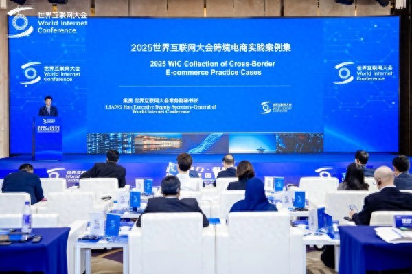跨境电商数字化平台案例研究_世界互联网大会跨境电商实践案例集2025_独立站用户体验