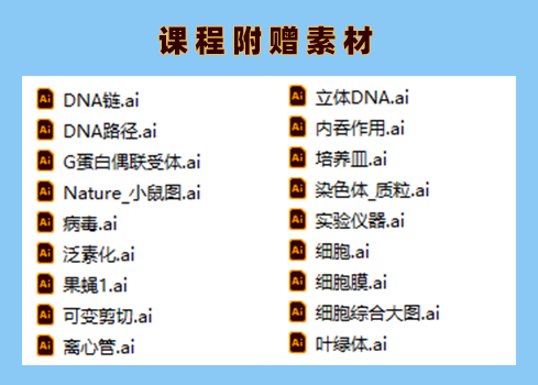 从入门到进阶_AI科研绘图教程_AI科研