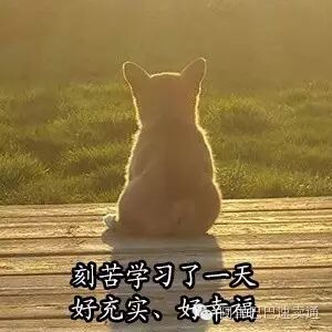 速卖通官方讲师课程_速卖通大学线下培训_速卖通开店