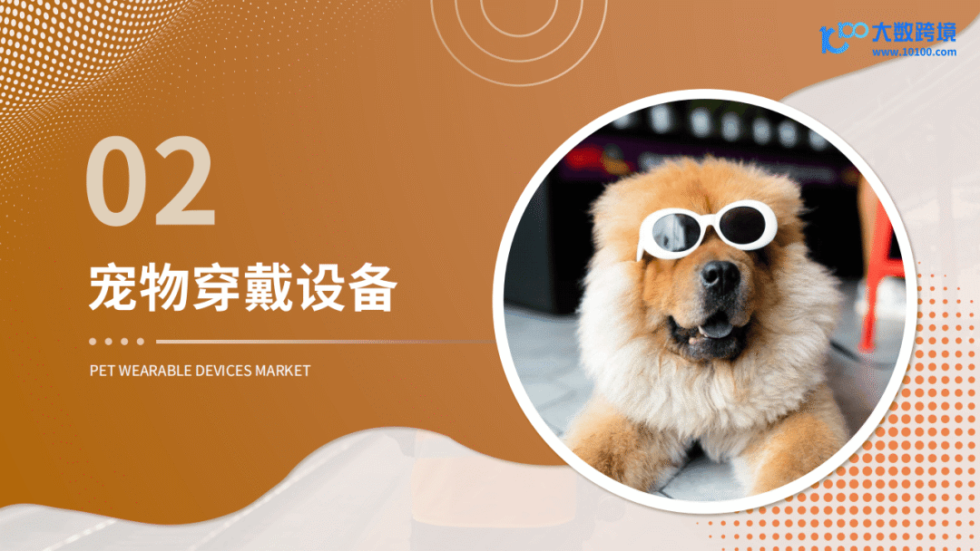 跨境电商运营_2025新兴宠物用品市场洞察报告_跨境宠物用品