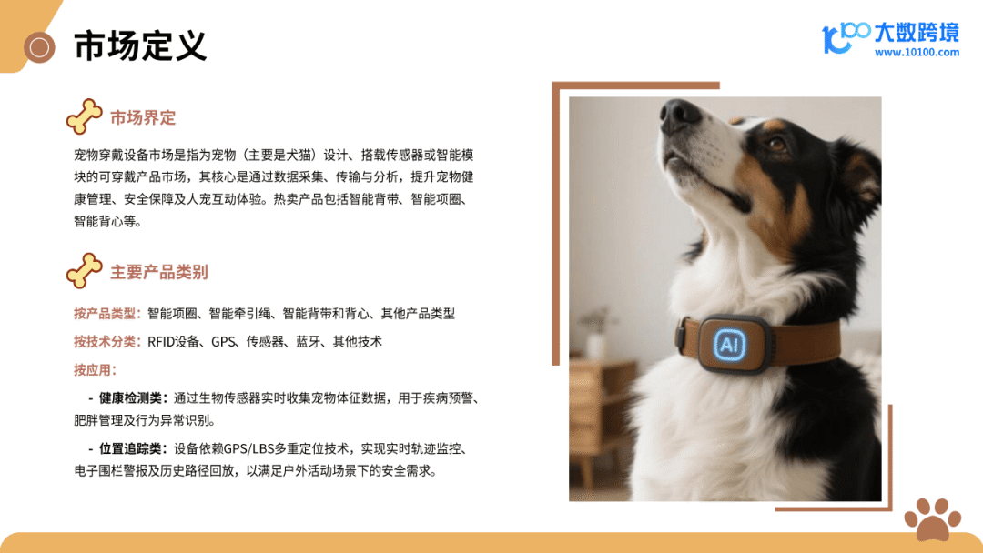 跨境宠物用品_2025新兴宠物用品市场洞察报告_跨境电商运营