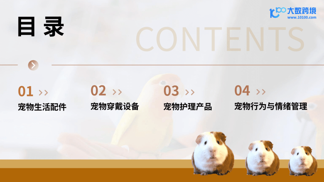 跨境电商运营_2025新兴宠物用品市场洞察报告_跨境宠物用品