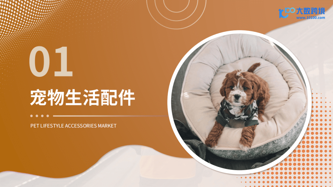跨境宠物用品_跨境电商运营_2025新兴宠物用品市场洞察报告