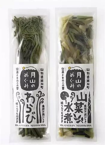 透明度_半透明背景设计_文字清晰度提升设计