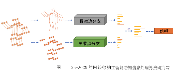 动作结构图卷积网络_动作识别_双流自适应图卷积网络