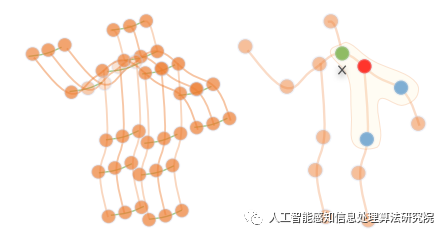 动作结构图卷积网络_动作识别_双流自适应图卷积网络