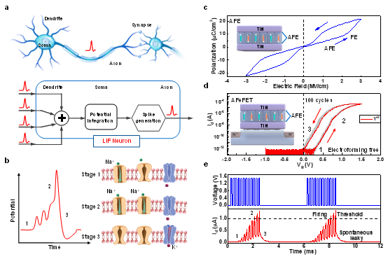 compact low-power artificial neuron design_神经形态计算_anti-ferroelectric transistor based artificial neuron