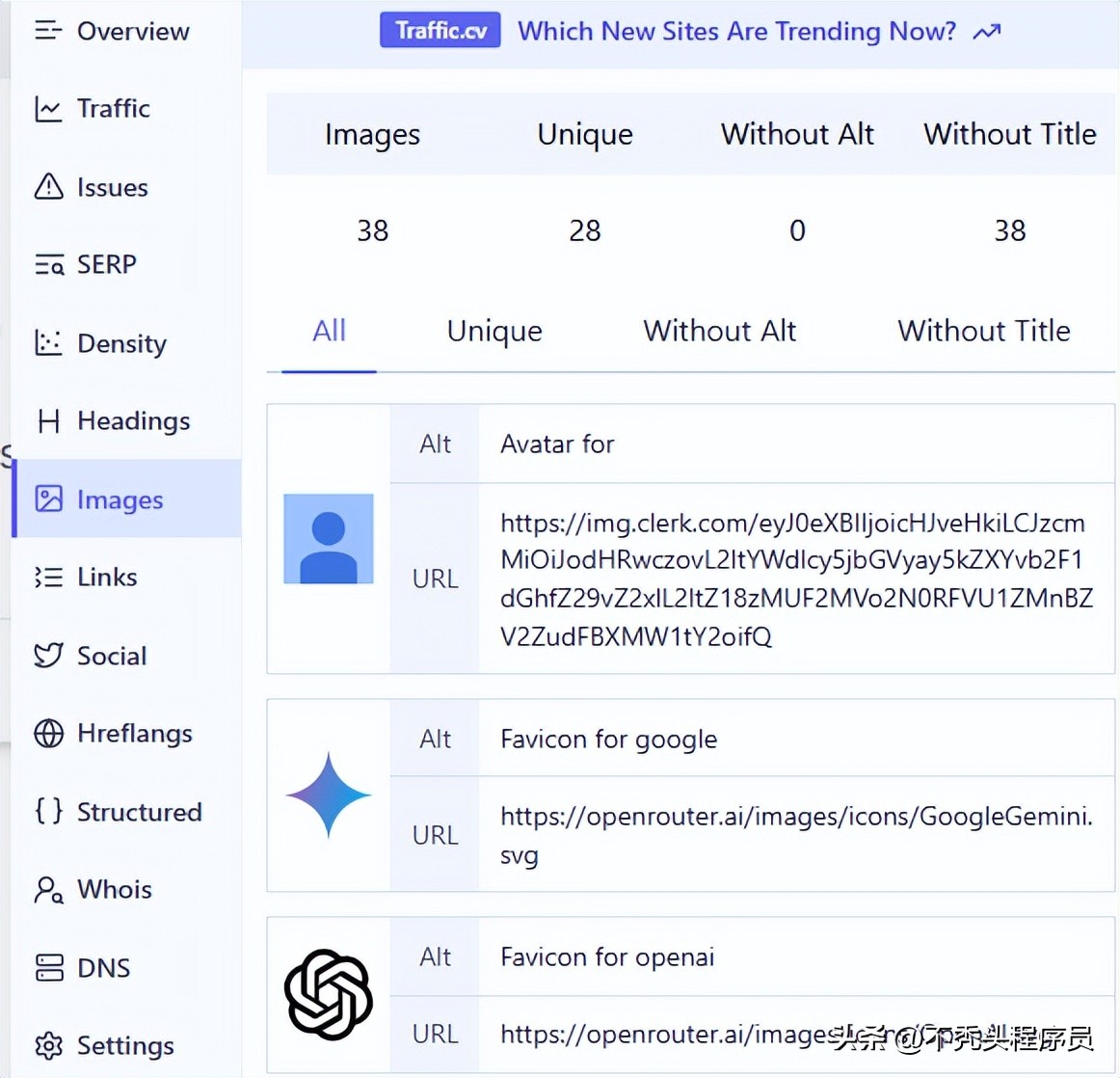 独立站搜索引擎排名_网站SEO分析工具_SEO问题检测工具