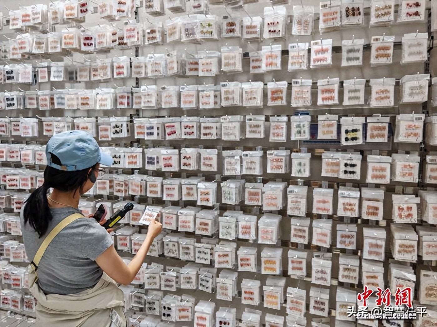 跨境小家电_中国跨境电商穿戴甲产业链_中国跨境电商宠物雨衣