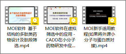 基于结构的多肽类药物设计及肽段筛选_MOE软件教程_药物发现