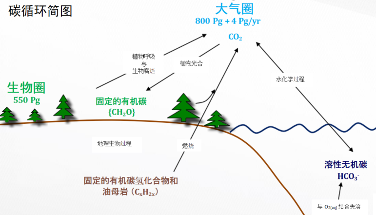 碳核算实现双碳目标数据支撑_碳计量赋能可持续发展_可持续计算