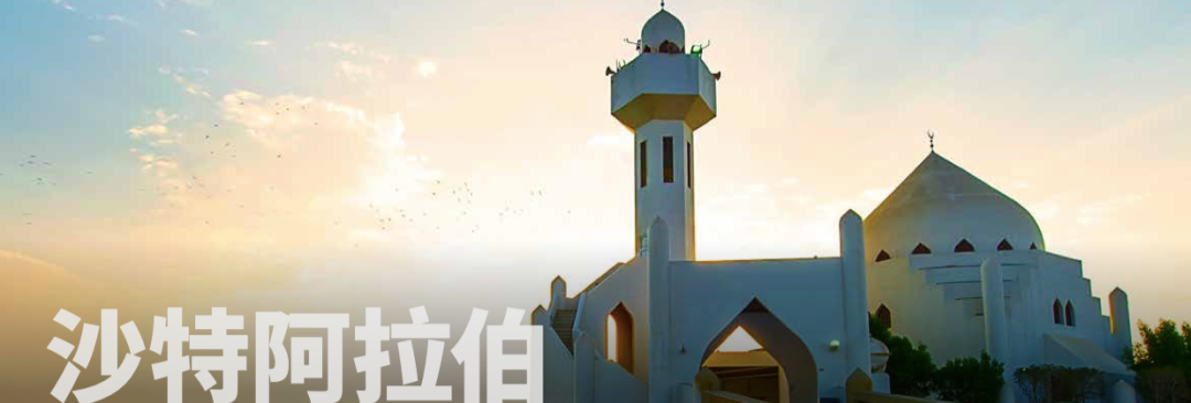 中东市场支付_沙特阿拉伯支付偏好_尼日利亚支付方式