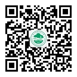 【国旗下讲话】我对语言学习与文化的理解