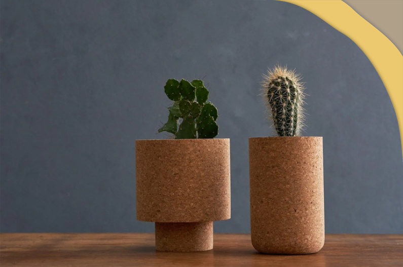 软木家居用品：可持续发展不是花架子！