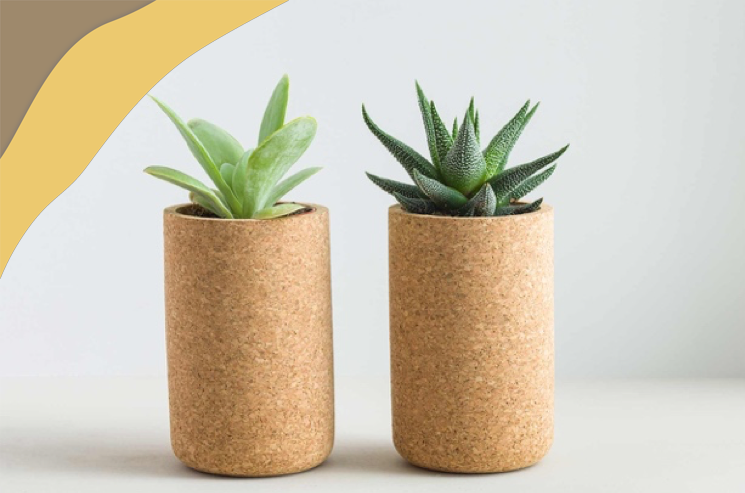 软木家居用品：可持续发展不是花架子！