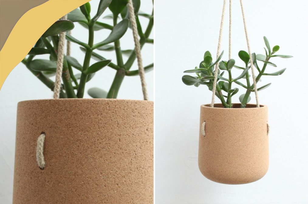 软木家居用品：可持续发展不是花架子！