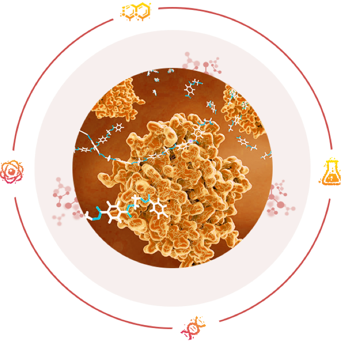 药筛网，药物发现百科全书！