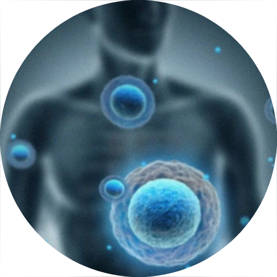 药筛网，药物发现百科全书！