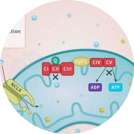 药筛网，药物发现百科全书！