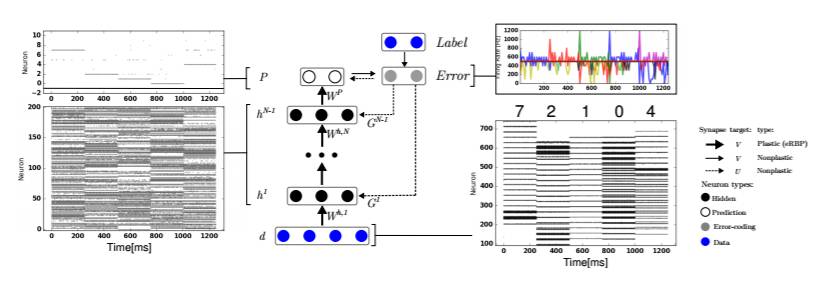 学界 | 英特尔新论文提出事件驱动的随机反向传播：能实现神经形态深度学习