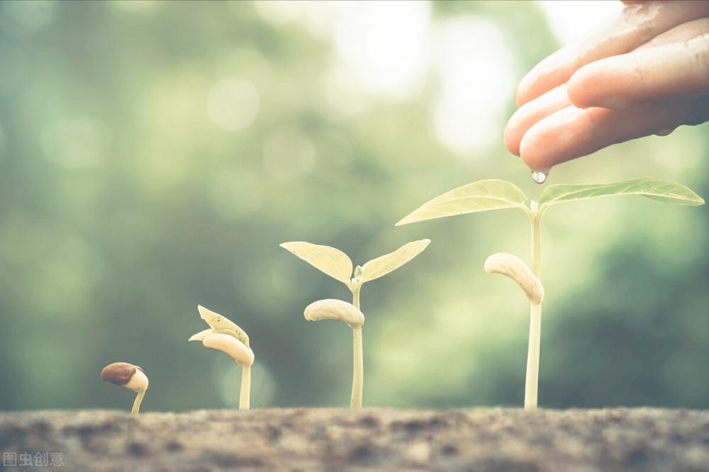 如何建立有益的心理表征？了解刻意练习的7个特点让自己不断变强