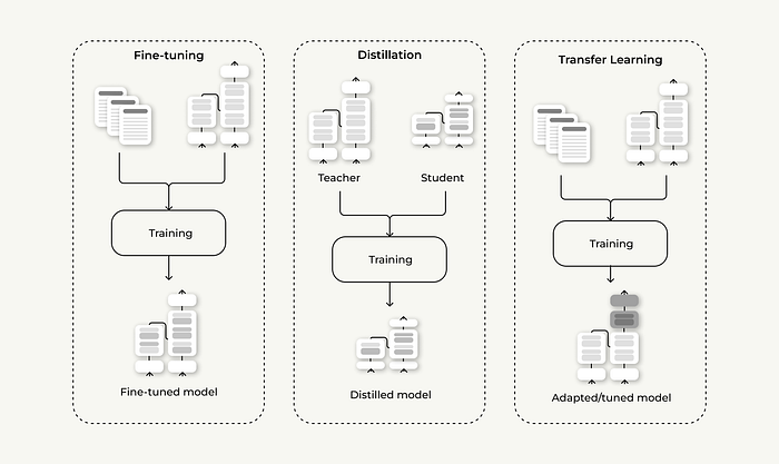 微调与蒸馏与迁移学习：它们之间有何区别？