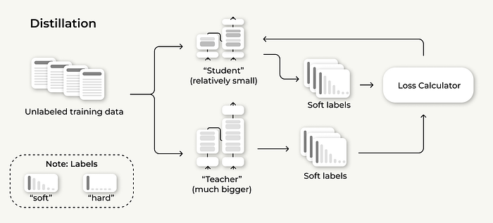 微调与蒸馏与迁移学习：它们之间有何区别？