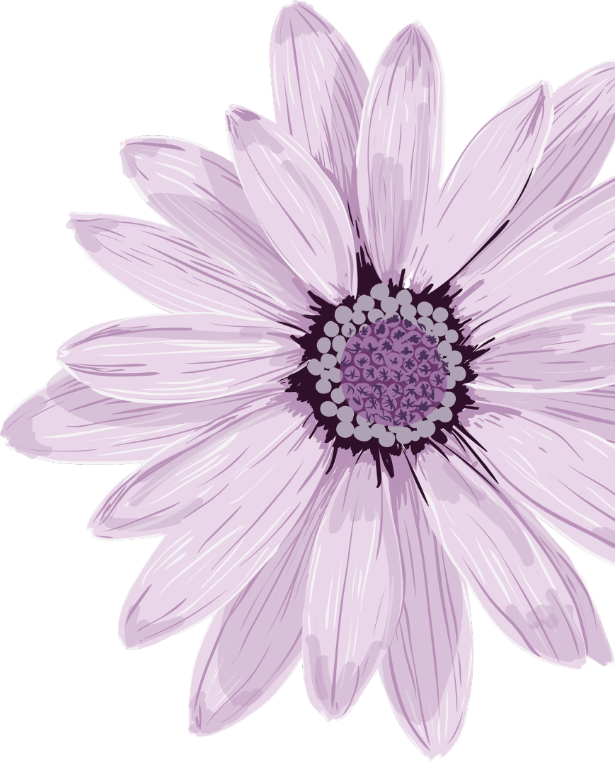 【聋人文化普及】第二期 手语与手势汉语的区别