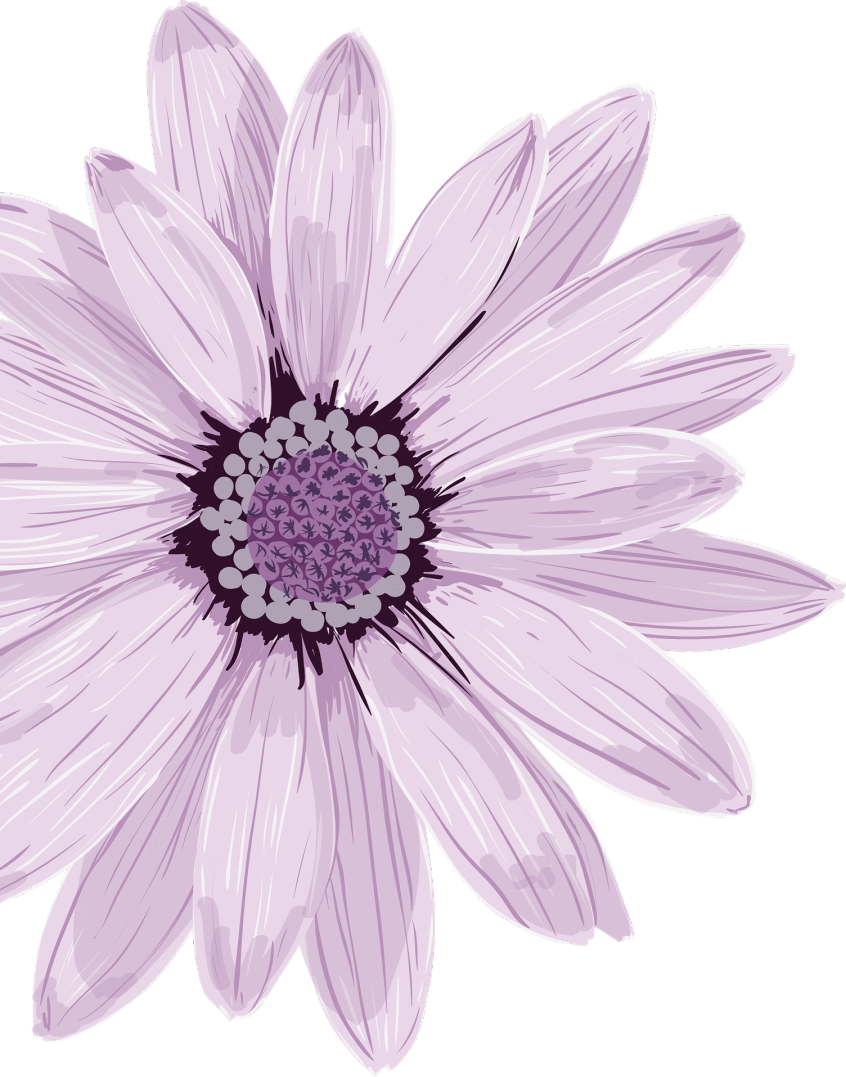 【聋人文化普及】第二期 手语与手势汉语的区别