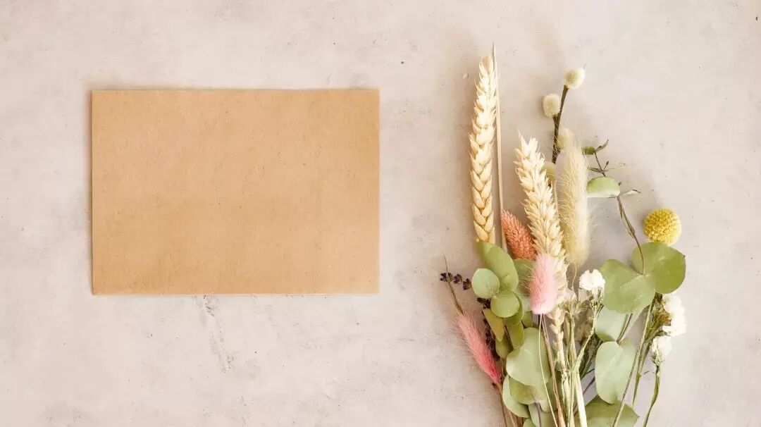 【聋人文化普及】第二期 手语与手势汉语的区别