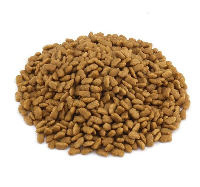 泰迪挑食严重怎么办？有什么适口性好的狗粮推荐？