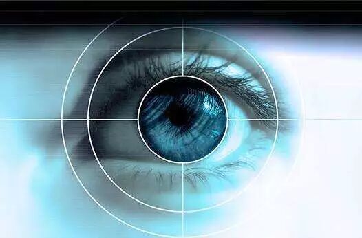 AI防疫启示录|虹膜人脸多模态生物识别或成最优解