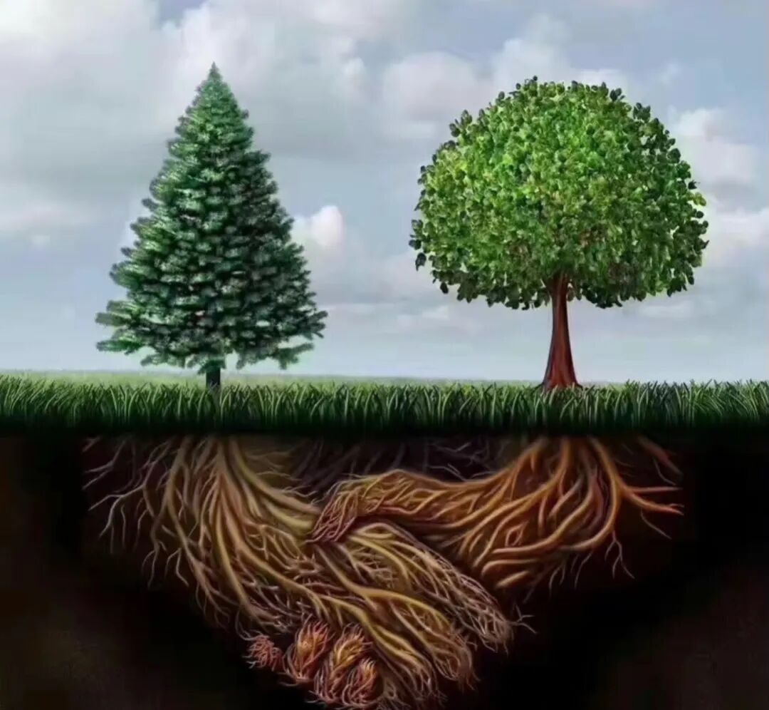 独立站的本质：赢得信任，而不是堆砌产品