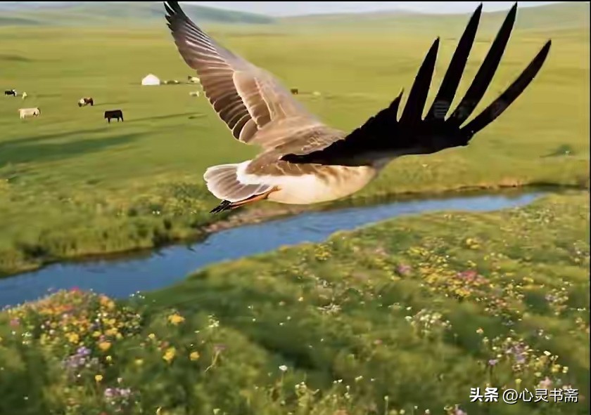 如果你写微头条，找不到好看的图，来我这看看，欢迎拿图