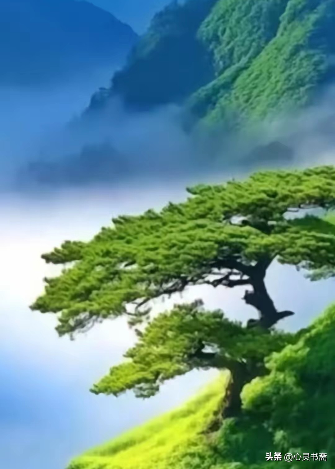 如果你写微头条，找不到好看的图，来我这看看，欢迎拿图